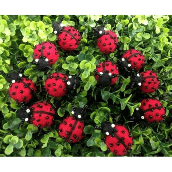 ladybirds felt himalayan journey