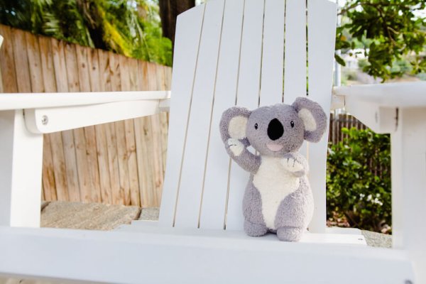 Organic koala from Tikiri | Bambino Eco Toys Organic koala from Tikiri