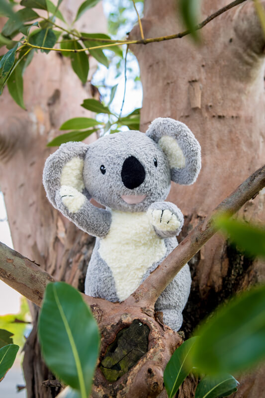 Organic koala from Tikiri | Bambino Eco Toys Organic koala from Tikiri