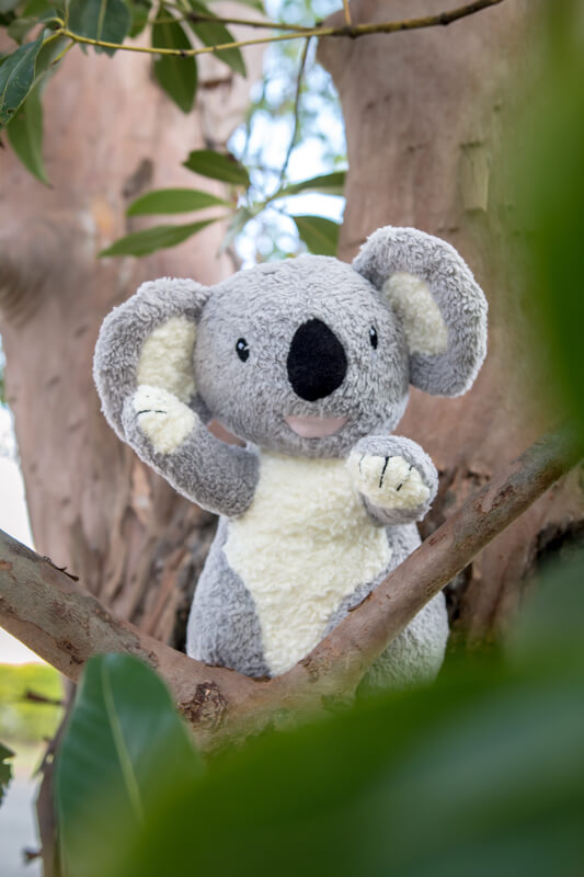Organic koala from Tikiri | Bambino Eco Toys Organic koala from Tikiri