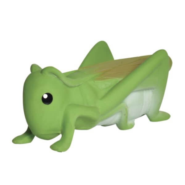 Tikiri bath and teether toy grasshopper
