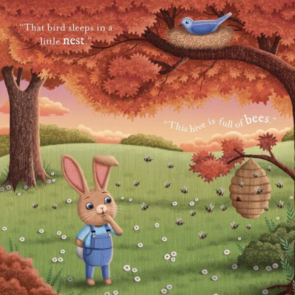 Do you know how much i love you board book | Bambino Eco Toys Do you know how much i love you board book