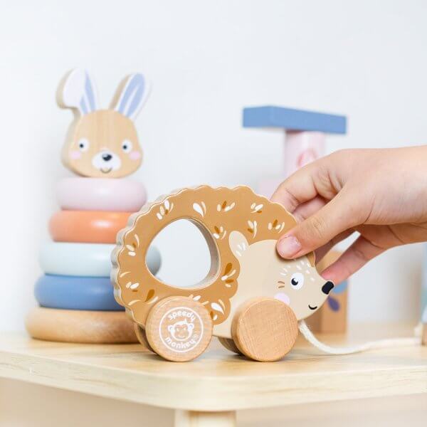 Speedy Monkey wooden toys My First Toy Box -push pull hedgehog
