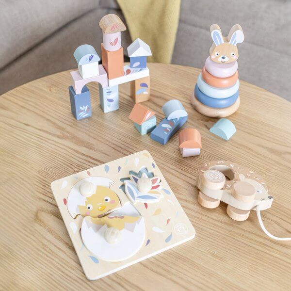 Speedy Monkey wooden toys My First Toy Box