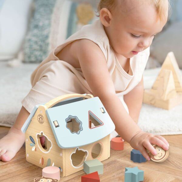 Speedy monkey house wooden shape sorter